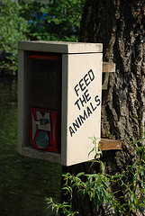 feed-the-animals